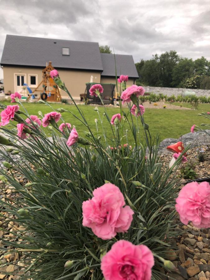 Tir Na Spideoga Villa Ennis Ngoại thất bức ảnh