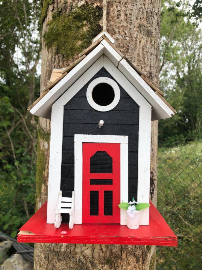 Tir Na Spideoga Villa Ennis Ngoại thất bức ảnh
