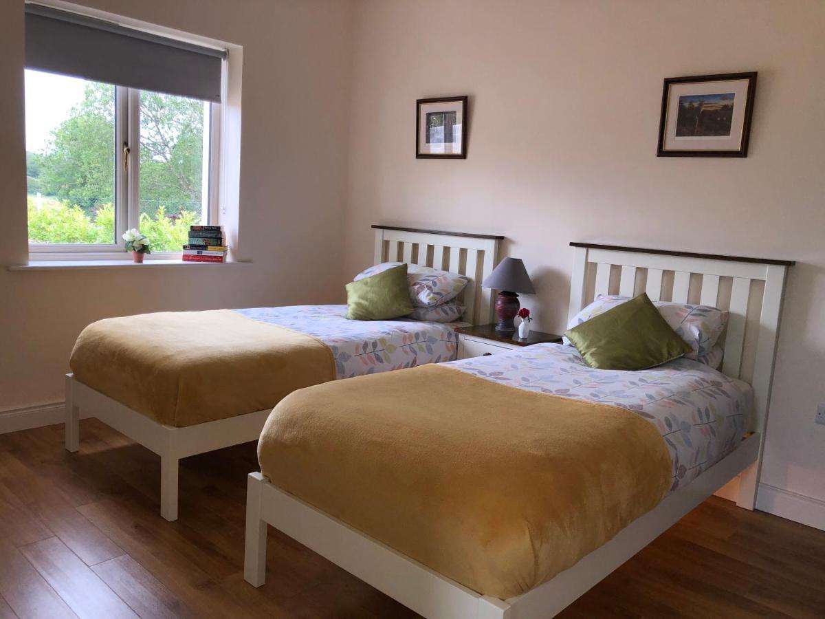 Tir Na Spideoga Villa Ennis Ngoại thất bức ảnh